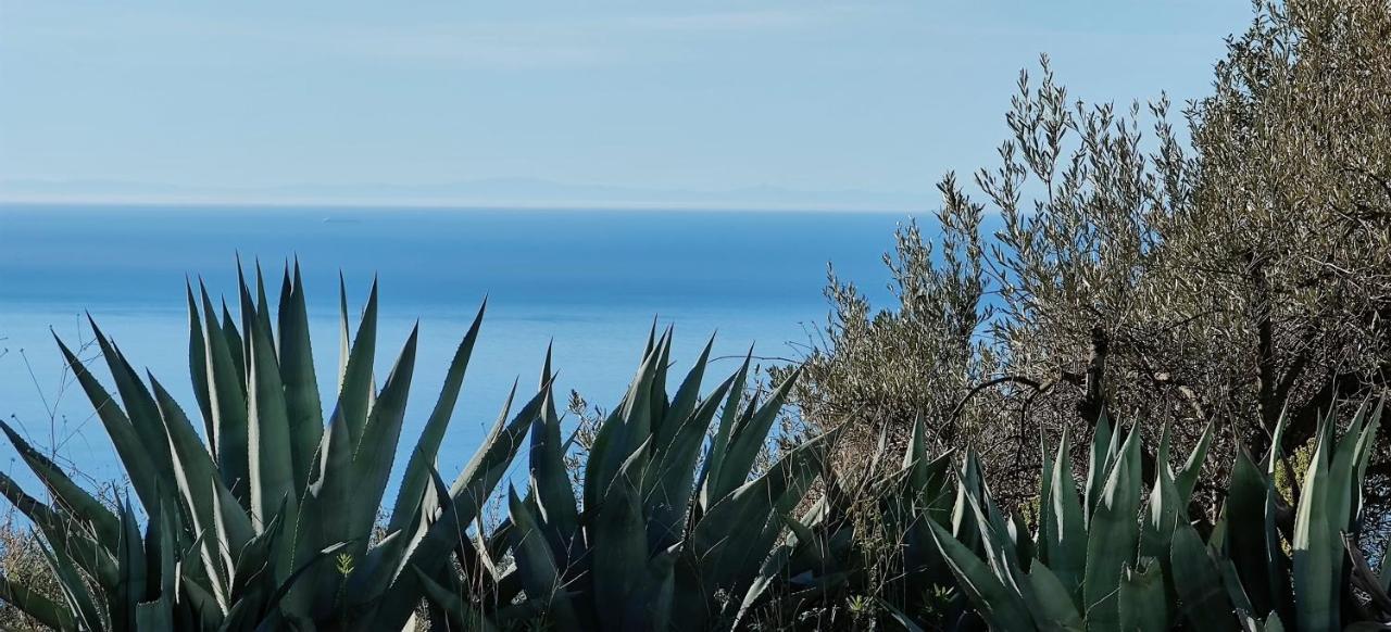 Campo Agave Luxury Tents Sayalonga Bagian luar foto