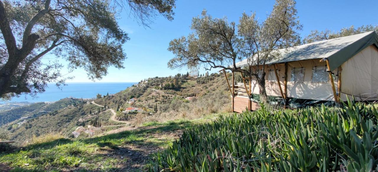 Campo Agave Luxury Tents Sayalonga Bagian luar foto