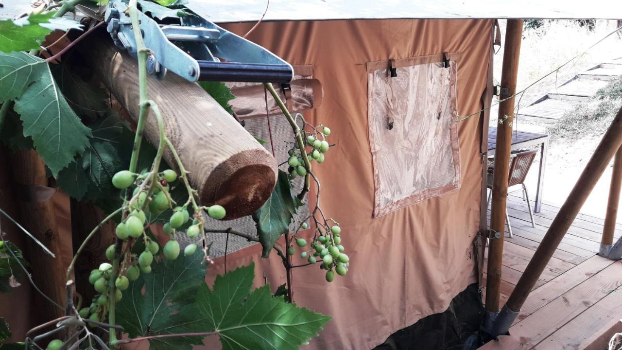Campo Agave Luxury Tents Sayalonga Bagian luar foto