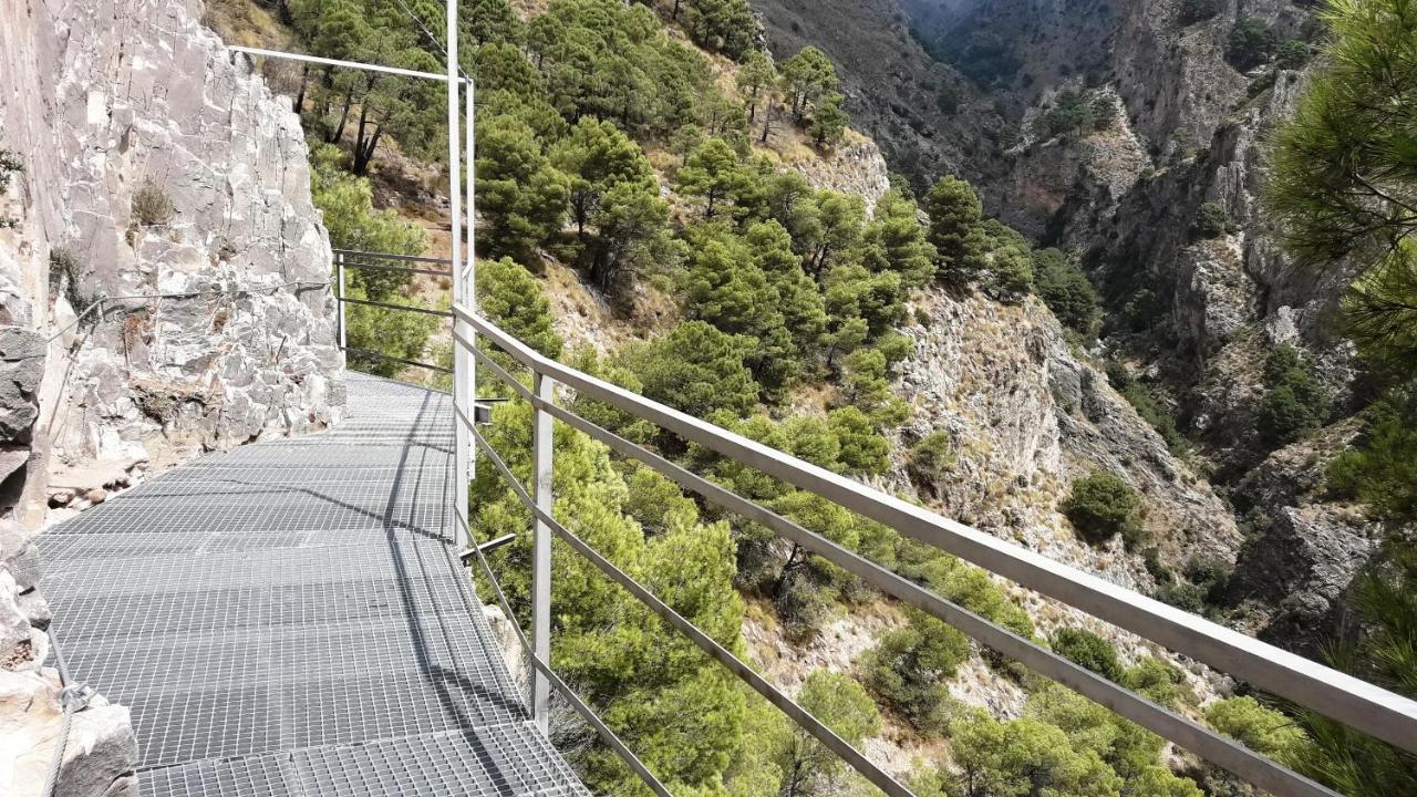Campo Agave Luxury Tents Sayalonga Bagian luar foto