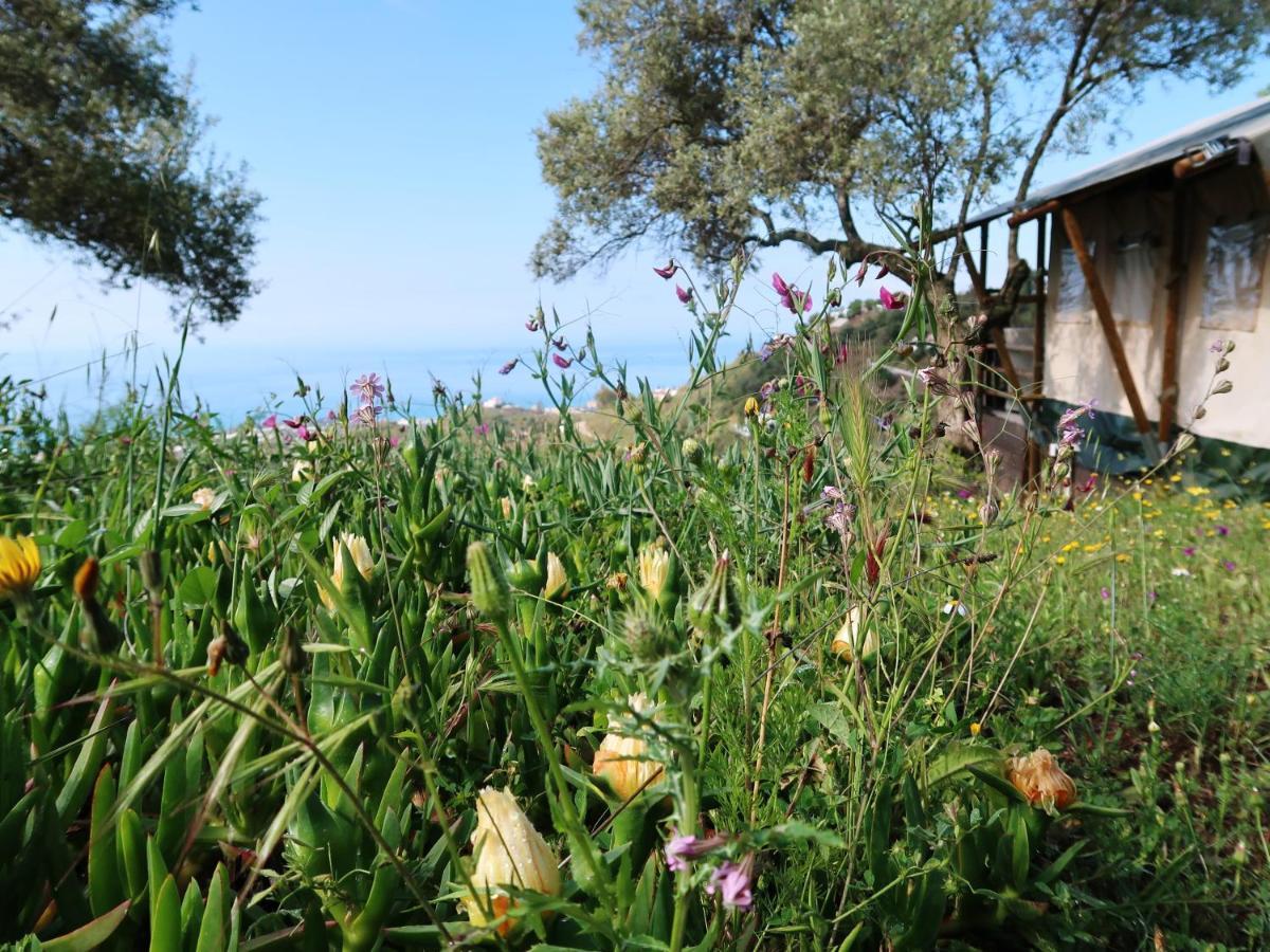 Campo Agave Luxury Tents Sayalonga Bagian luar foto