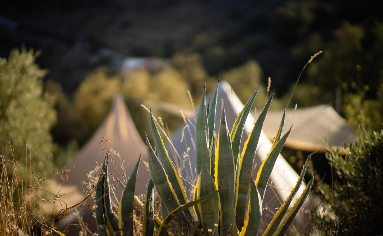 Campo Agave Luxury Tents Sayalonga Bagian luar foto