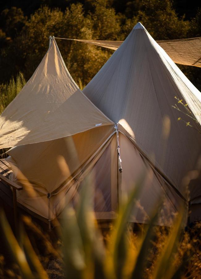 Campo Agave Luxury Tents Sayalonga Bagian luar foto