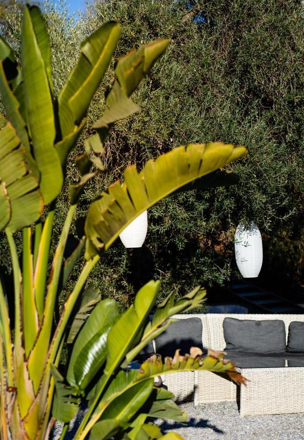 Campo Agave Luxury Tents Sayalonga Bagian luar foto
