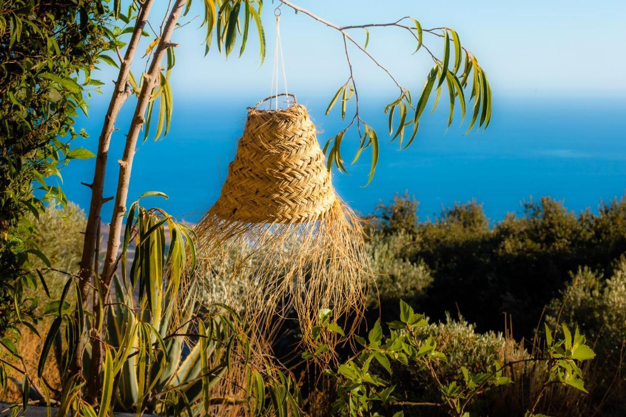 Campo Agave Luxury Tents Sayalonga Bagian luar foto