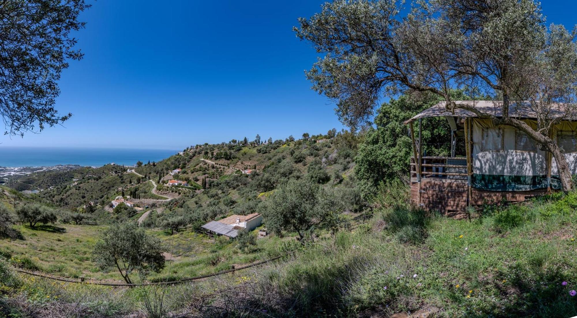 Campo Agave Luxury Tents Sayalonga Bagian luar foto
