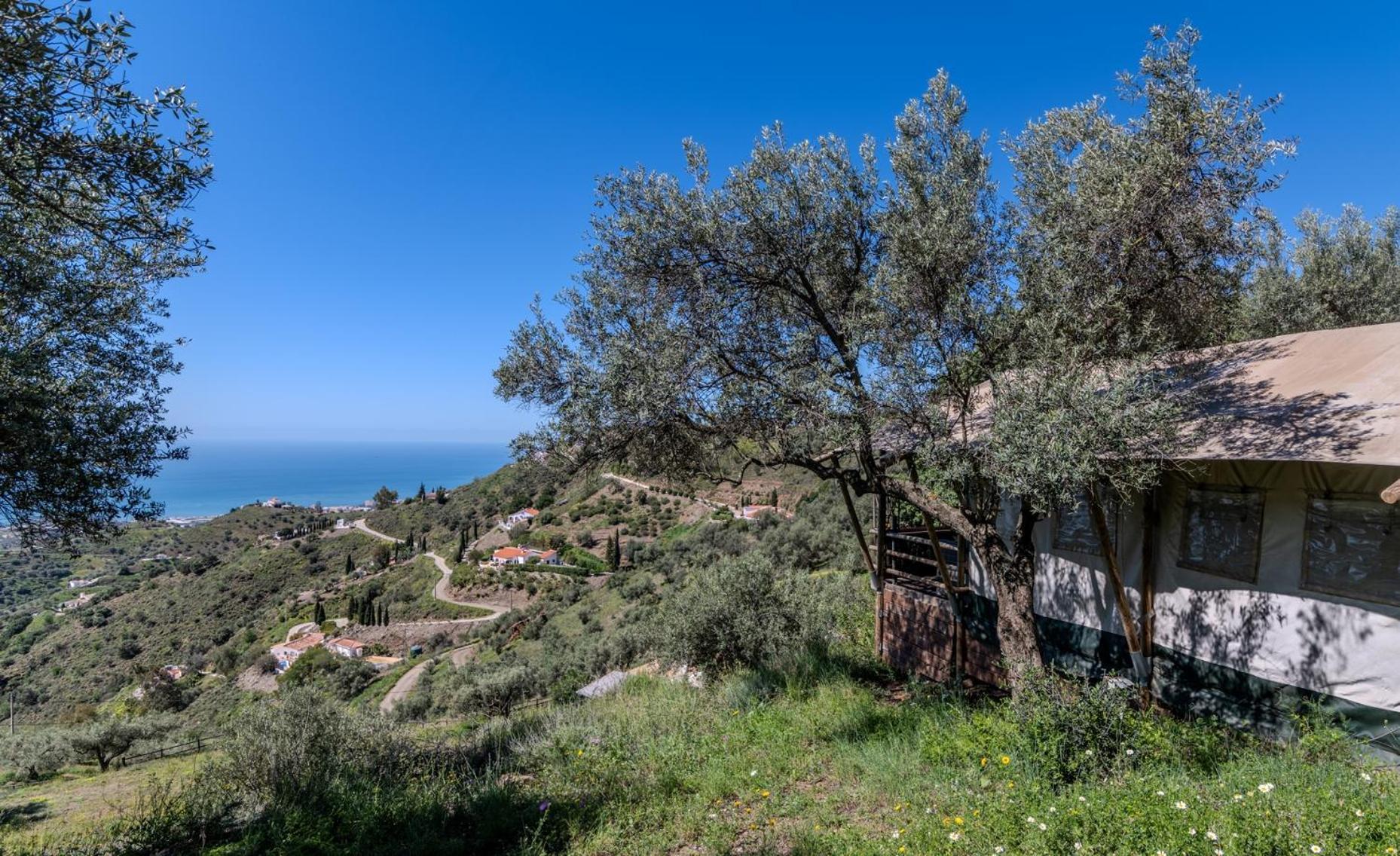 Campo Agave Luxury Tents Sayalonga Bagian luar foto
